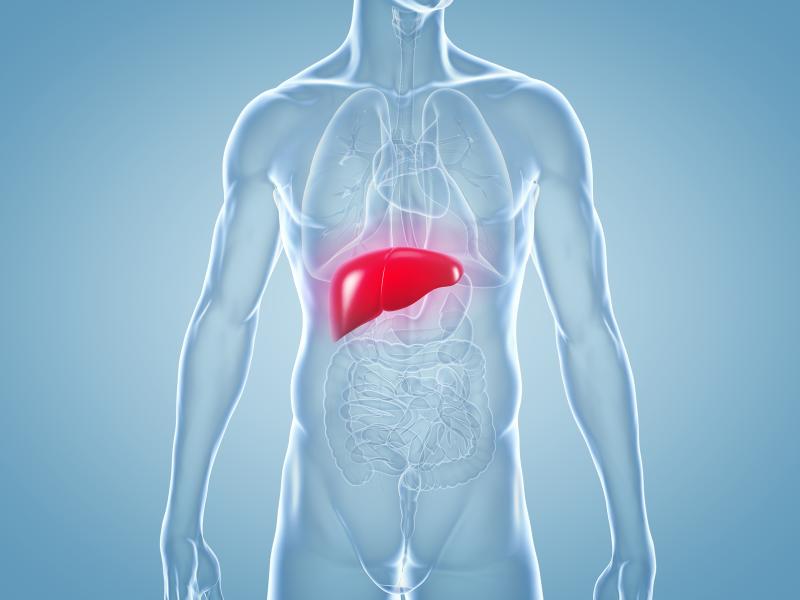 HBeAg status implicated in liver pathology in chronic hepatitis B