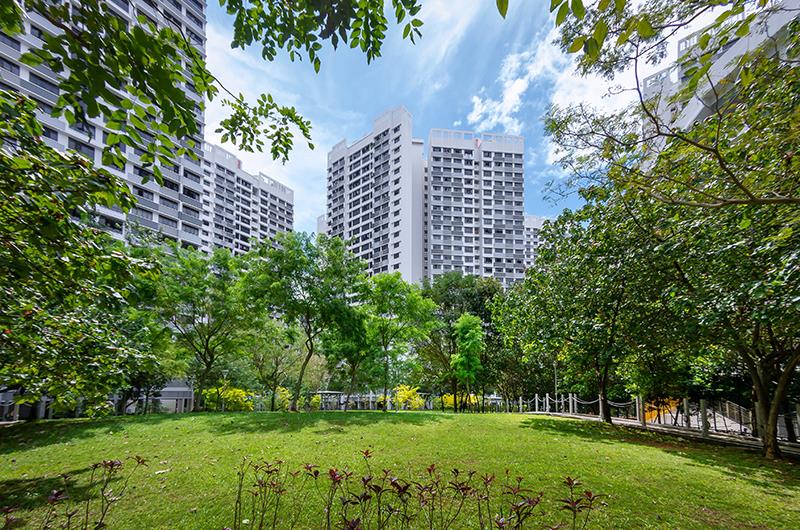 Living near greenery protects against asthma