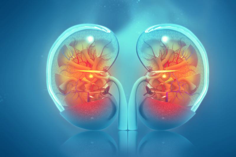 Renal disease among diabetics heterogenous