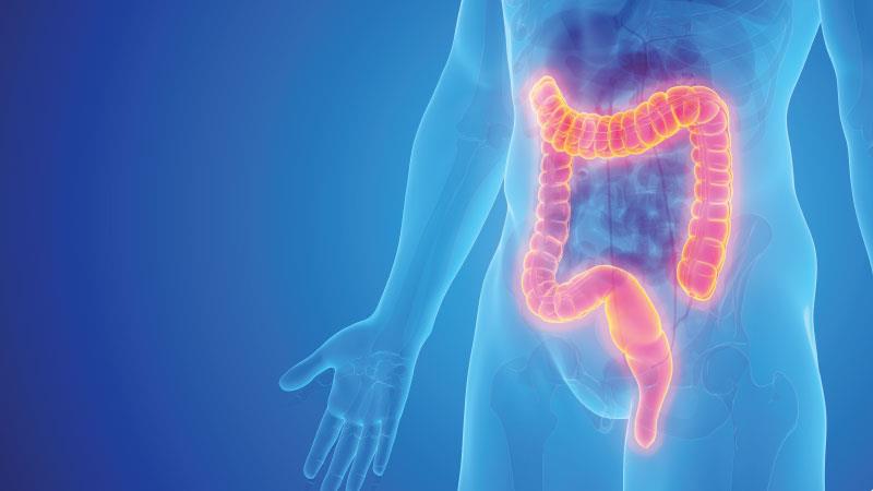 Is ChatGPT ready to give CRC screening recommendations?