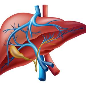 Elafibranor improves biochemical response, itch-related QoL in patients with PBC