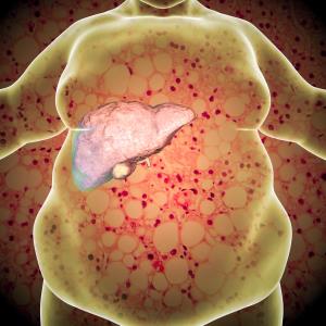 Low liver fat bad for the heart?