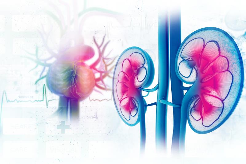 CRP-to-albumin ratio predicts acute kidney injury in STEMI patients