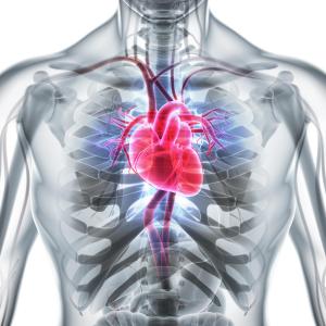 Thumbs up for HeartMate 3 in cohorts with high perioperative risk