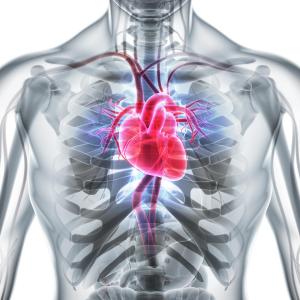 Respiratory failure cuts survival after LVAD placement