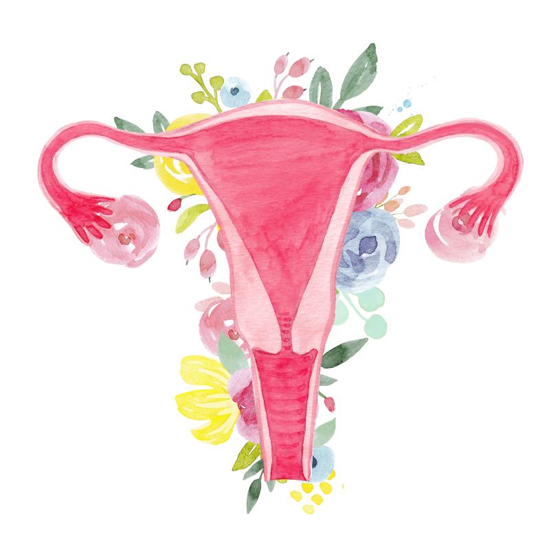 Women with ovarian endometriomas and/or deep infiltrating endometriosis are at increased risk of ovarian cancer, as shown in 