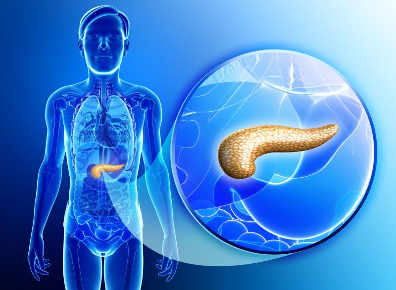 Pancreatic islet transplantation could help prevent hypoglycaemia