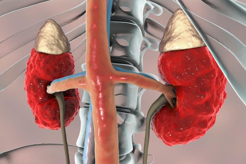 RAS inhibitor discontinuation of no help in slowing kidney decline