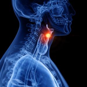 Imaging may help predict efficacy of immune checkpoint inhibitors in head and neck cancer