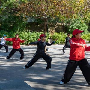 Tai Chi improves global cognitive function in older adults with mild cognitive impairment