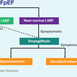 Adding spironolactone or sacubitril/valsartan to empagliflozin suggested for a wide spectrum of symptomatic HFpEF