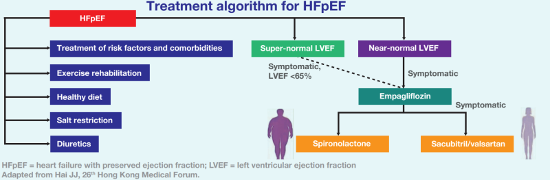 Adding spironolactone or sacubitril/valsartan to empagliflozin suggested for a wide spectrum of symptomatic HFpEF