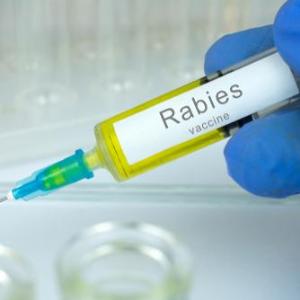 Ormutivimab a promising alternative for postexposure rabies prophylaxis