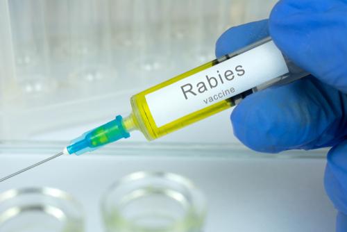 Ormutivimab a promising alternative for postexposure rabies prophylaxis