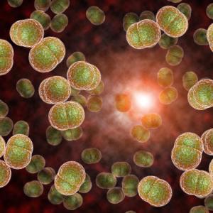 Elderly adults see worse bacterial meningitis outcomes