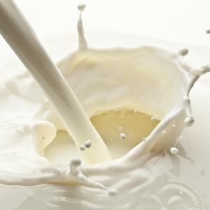 Milk intake exerts no immediate effect on heart health in postmenopausal women