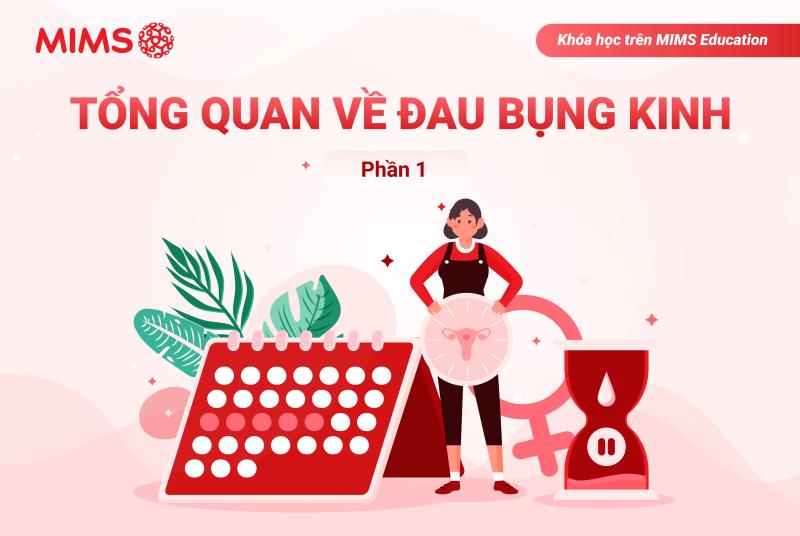 [MIMS Education] Tổng quan về đau bụng kinh - P1