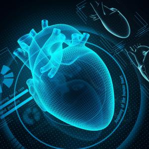 Insulin resistance by clamp analysis tied to LV dysfunction in diabetics