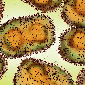 Cidofovir tied to quicker lesion clearance in patients with monkeypox