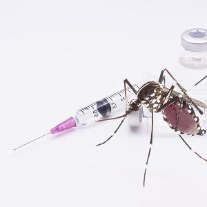 Let’s Talk: Dengue and Vaccination