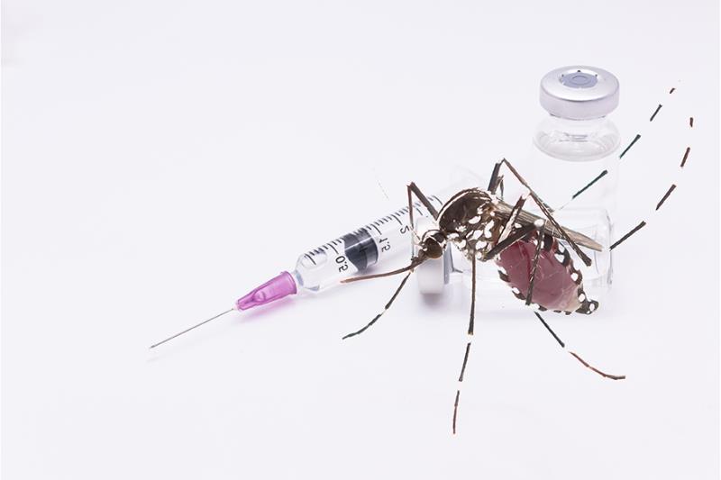 Let’s Talk: Dengue and Vaccination