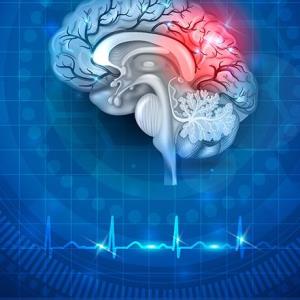 Optimising management of stroke and bleeding
in atrial fibrillation
