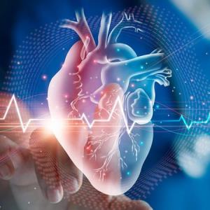 IN THE HEART OF DATA:
Exploring Patient Characteristics in the MY-HF Registry and
Improving the Use of Combination Drug The