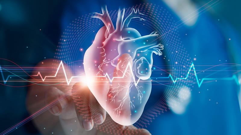 IN THE HEART OF DATA:
Exploring Patient Characteristics in the MY-HF Registry and
Improving the Use of Combination Drug The