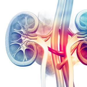 Silent but Serious: A Comprehensive Look at IgA Nephropathy and C3 Glomerulopathy in Glomerulonephritis