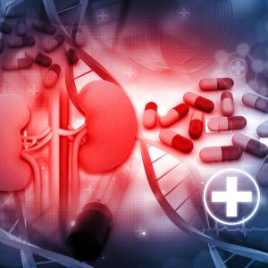 Dual therapy confers no survival gains in advanced renal cell carcinoma