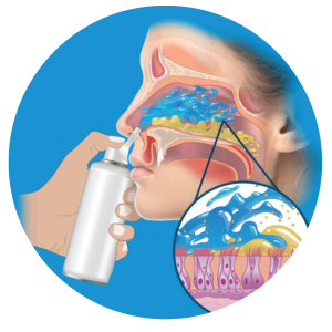 Nasal Hygiene Spray for Better Allergic Rhinitis Treatment Outcomes