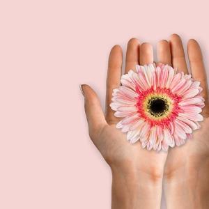 NATALEE update: Ribociclib + NSAI well tolerated