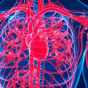 Apixaban in the management of nonvalvular atrial fibrillation in older patients: Clinical evidence and experience sharing