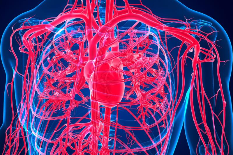 Apixaban in the management of nonvalvular atrial fibrillation in older patients: Clinical evidence and experience sharing