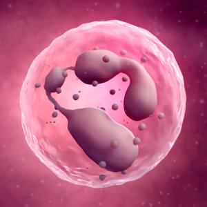 Neutrophils release more cytokines in DM, HFpEF patients