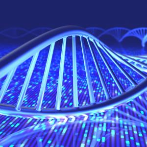 Next-gen sequencing paves way to discovery of novel forms of monogenic diabetes