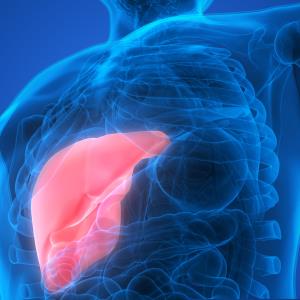 Nidufexor lowers ALT, hepatic fat in patients with NASH