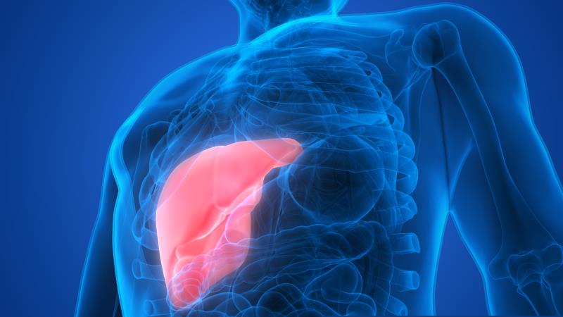 Nidufexor lowers ALT, hepatic fat in patients with NASH