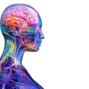 Nipocalimab + SoC improves MG-ADL scores in adults with myasthenia gravis