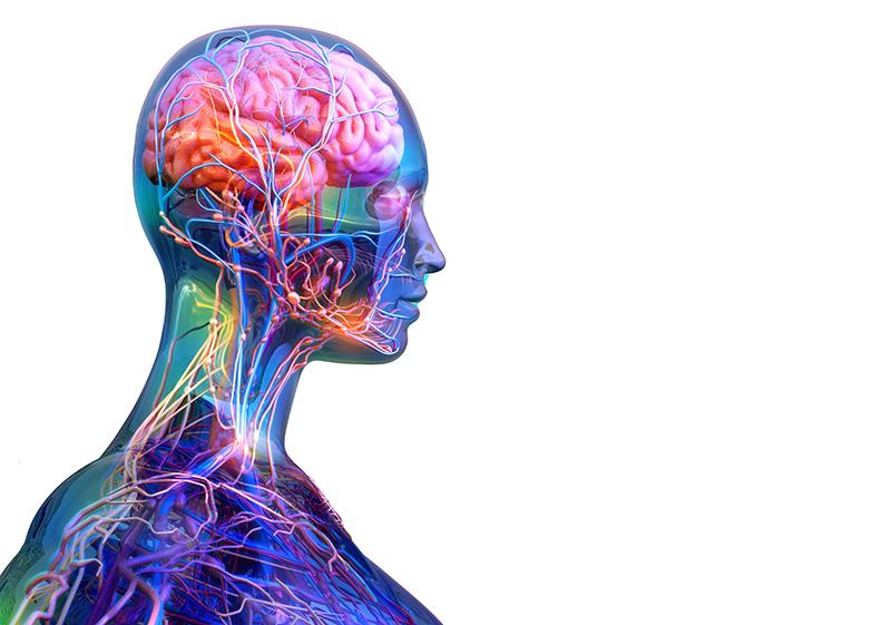 Nipocalimab + SoC improves MG-ADL scores in adults with myasthenia gravis