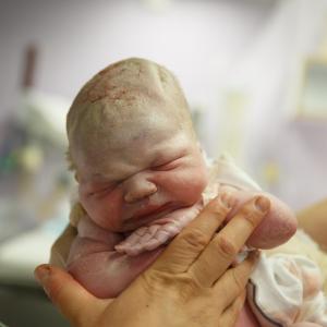 Brain size tied to physical growth in preemies