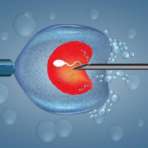 Ovarian stimulation with individualized follitropin delta dosing boosts IVF success