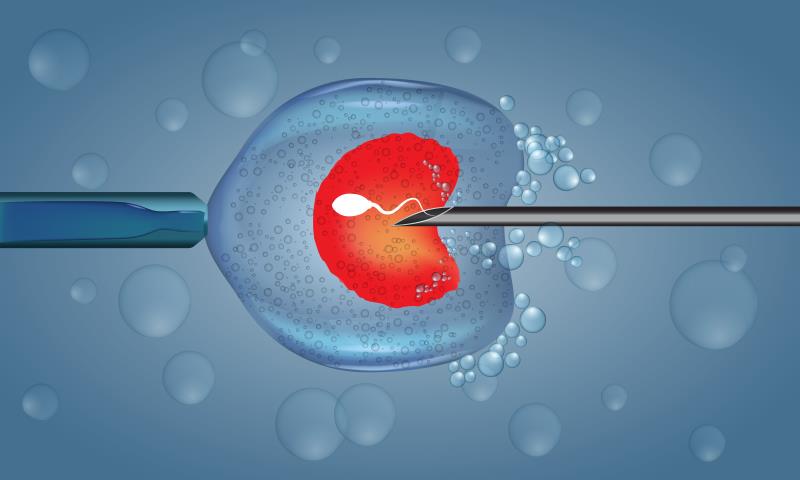 Ovarian stimulation with individualized follitropin delta dosing boosts IVF success