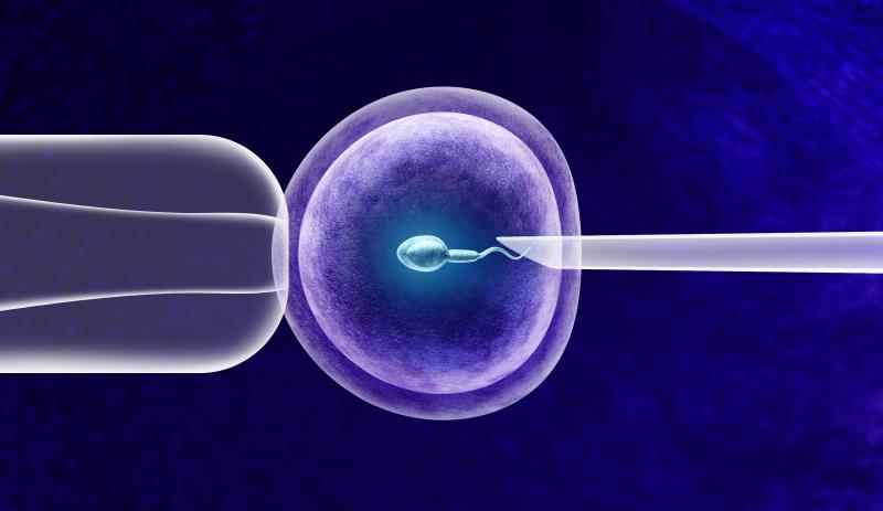 No benefit to endometrial scratching before first-cycle IVF/ICSI