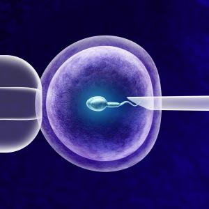 Major malformation risk after assisted reproductive treatment higher with ICSI vs IVF