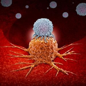 Ipilimumab with stereotactic radiotherapy feasible for metastatic cancers