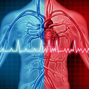 Atrial fibrillation ups risk of death, stroke, heart failure in patients with peripheral arterial disease