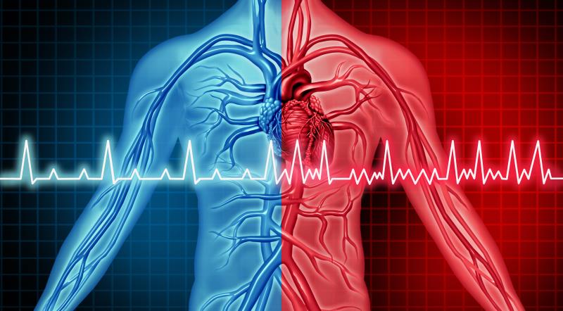 Atrial fibrillation ups risk of death, stroke, heart failure in patients with peripheral arterial disease