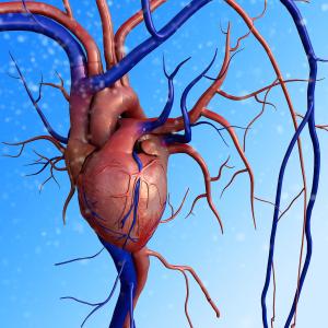 Myocardial perfusion predicts adverse outcomes in patients with prior CABG