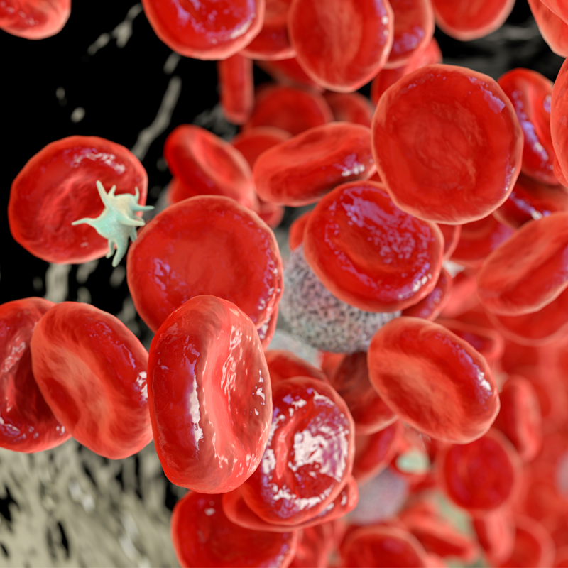 TREATMENT OF
POLYCYTHAEMIA VERA WITH
RESISTANCE OR INTOLERANCE
TO HYDROXYUREA